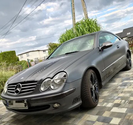 mercedes benz clk Mercedes-Benz CLK cena 24500 przebieg: 265000, rok produkcji 2004 z Koprzywnica